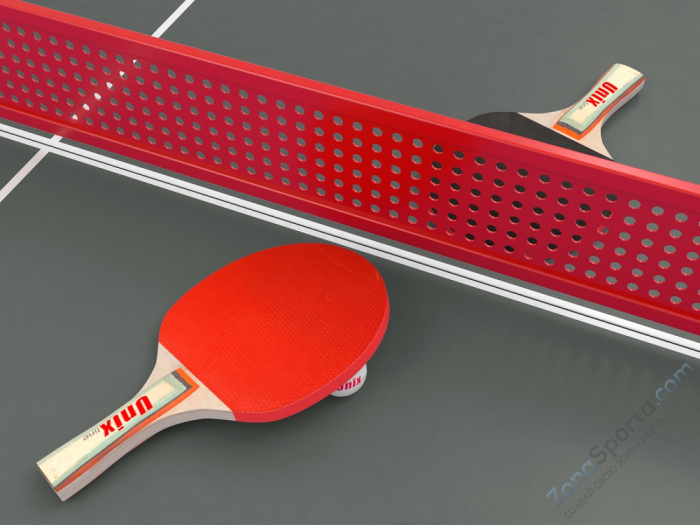 Антивандальный теннисный стол Unix Line 14 mm SMC (Grey/Red)