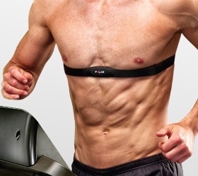 Беговая дорожка Horizon T-8.0