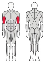 Бицепс машина Fitex Pro FTX-61F10