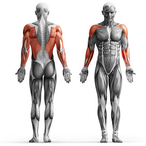 Cтойка блочная опция для скамеек Marbo Sport MH-W104 2.0