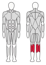 Голень стоя Fitex Pro FTX-61F31