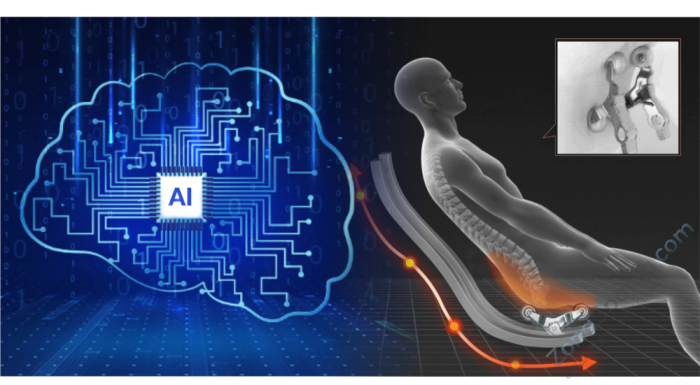 Массажное кресло Bodo Norton Black-Brown