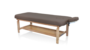 Массажный стол стационарный Mizomed Stationary Pro 1