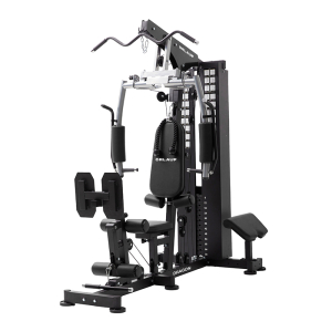 Мультистанция Orlauf Dragon