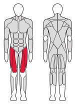 Разгибатель бедра Fitex Pro FTX-FB02