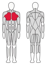 Скамейка для жима под углом вниз Fitex Pro FTX-7340