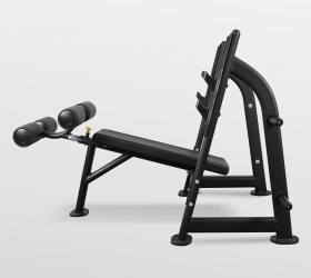 Скамья для жима с отрицательным наклоном Bronze Gym BR-1013