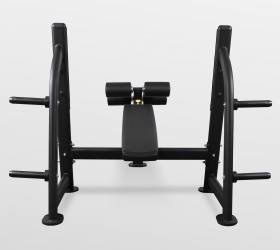 Скамья для жима с отрицательным наклоном Bronze Gym BR-1013