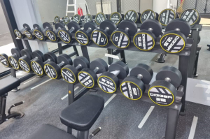 Стойка для гантелей на 10 пар Hasttings Digger HD71D1B